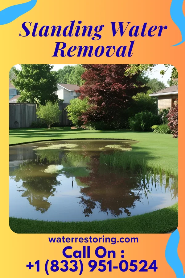 Standing Water Removal in Smyer, TX